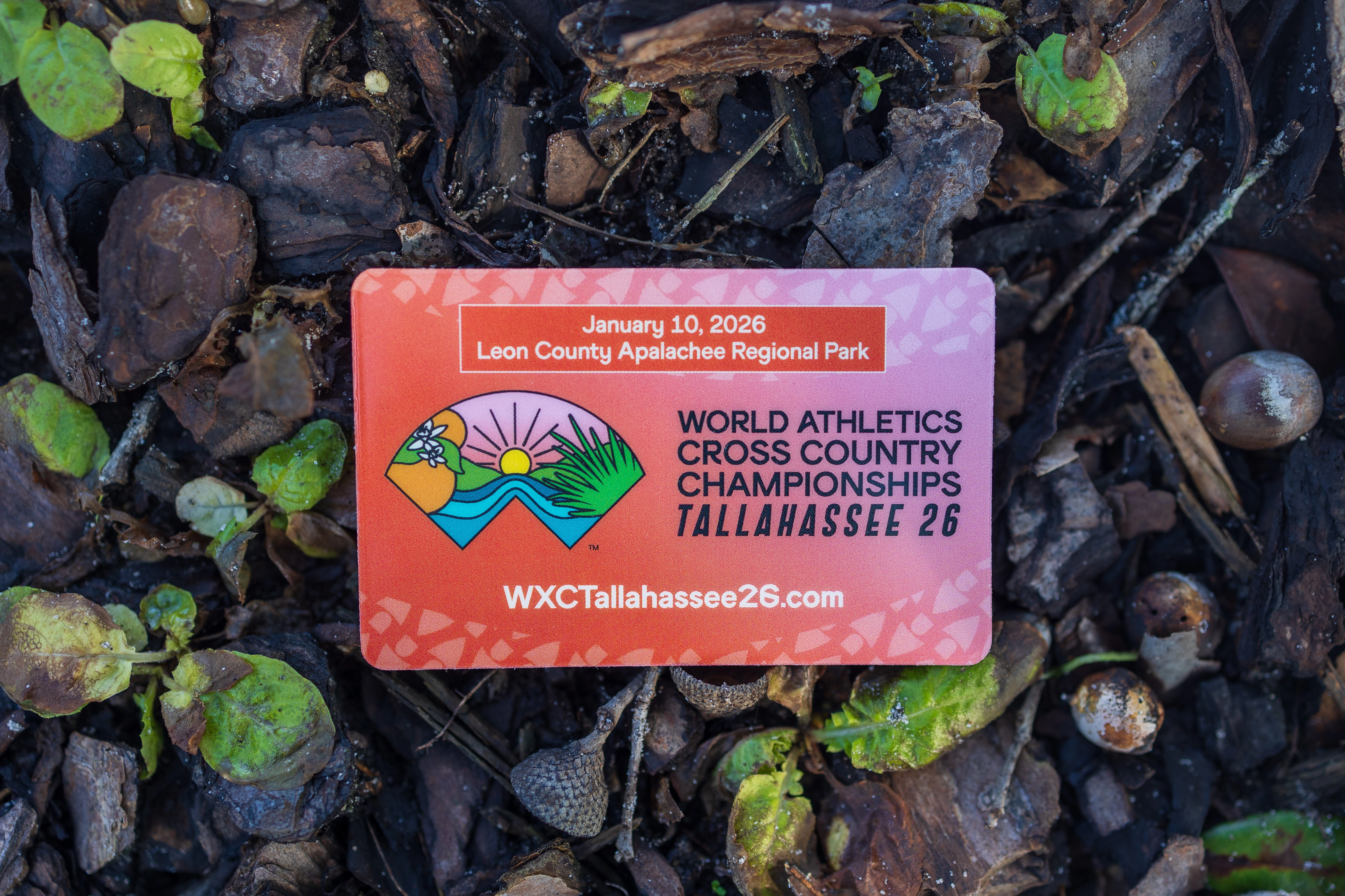 Colorful World Athletics Cross Country Championships Tallahassee 26 displayed on a nature-based background.